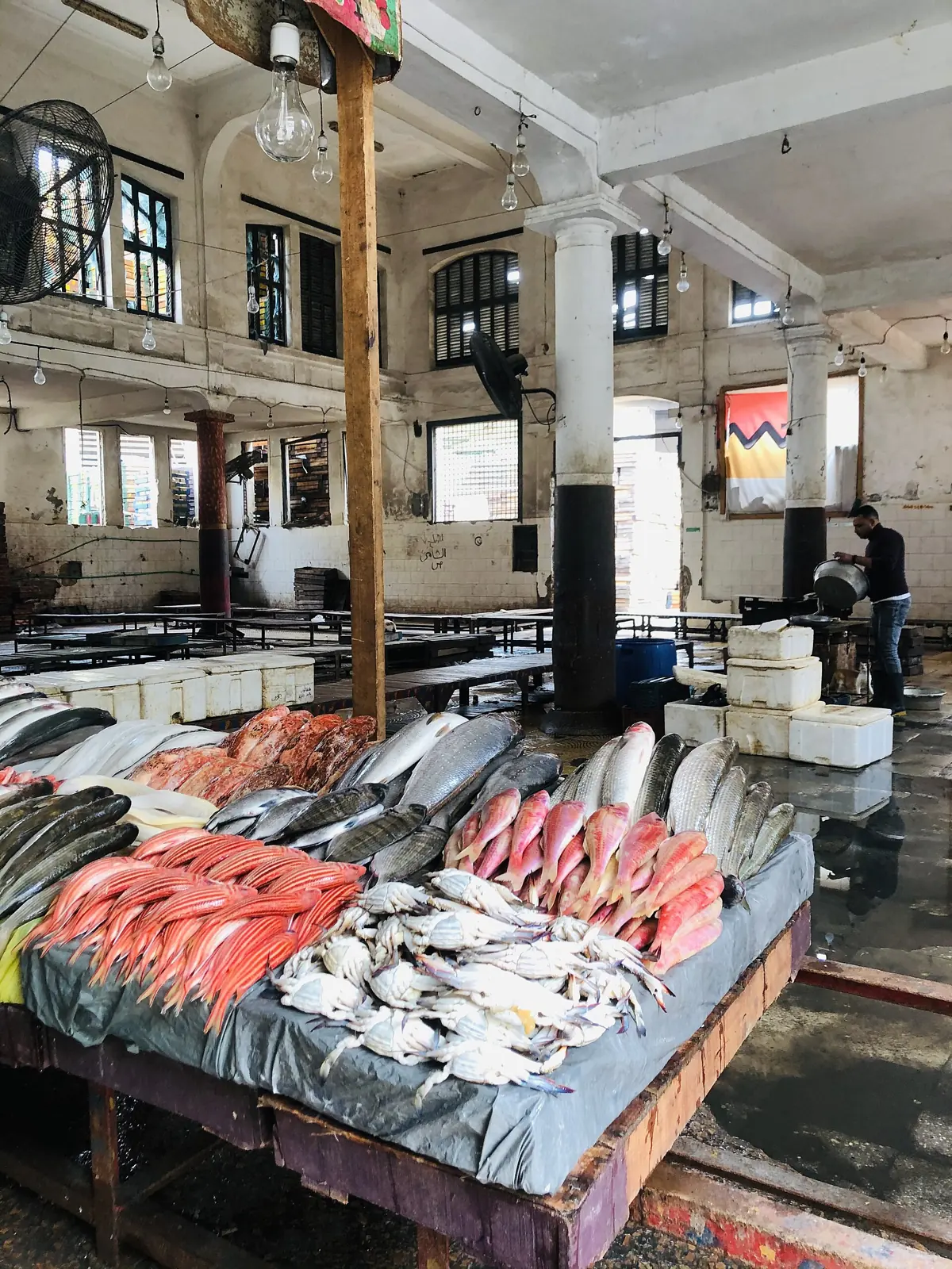 Fish laid out on a market stall under a high ceiling, with scales and crates behind.