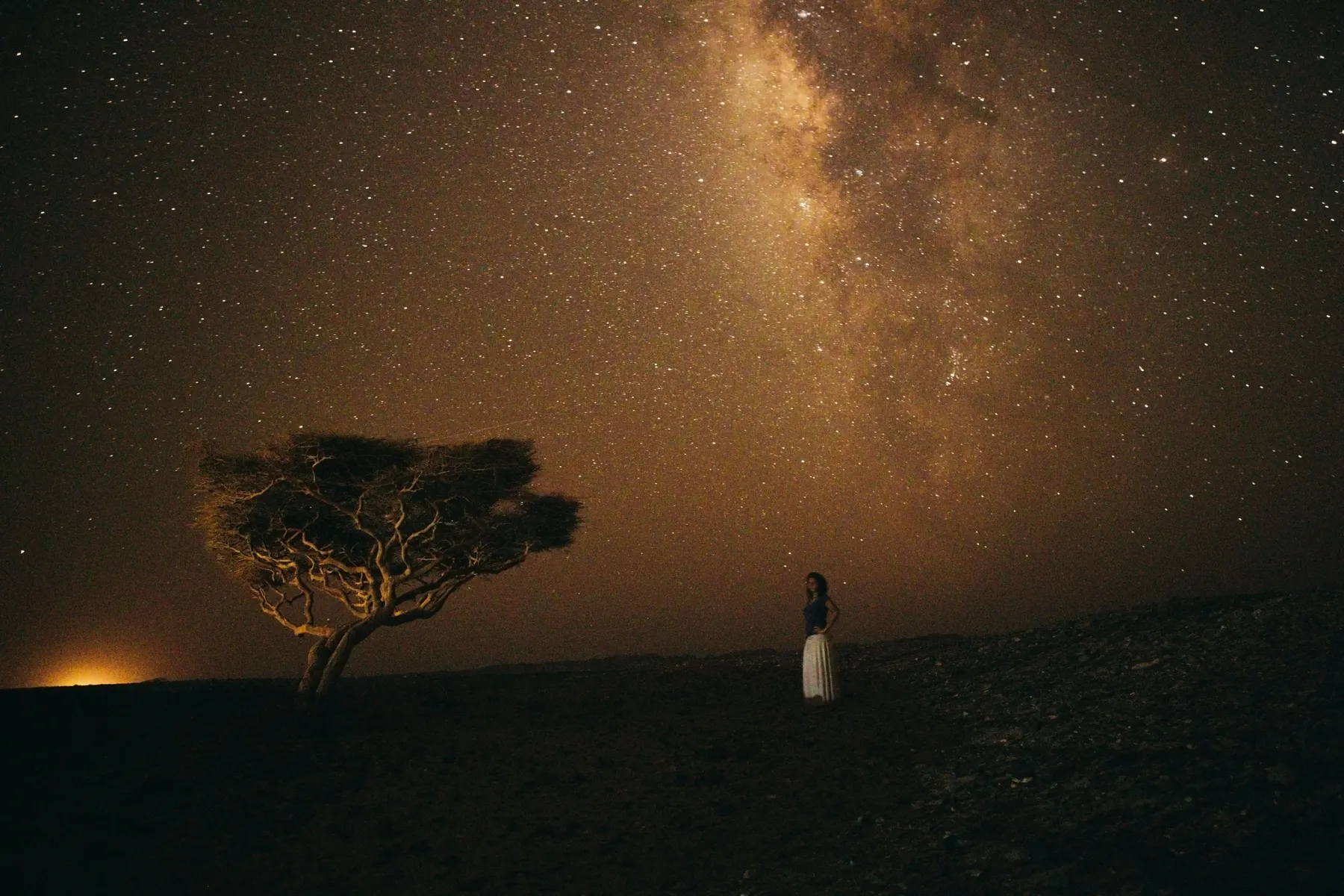The Milky Way over an acacia tree in Wadi El Gemal, in Egypt's Eastern Desert, with a figure standing beneath it.