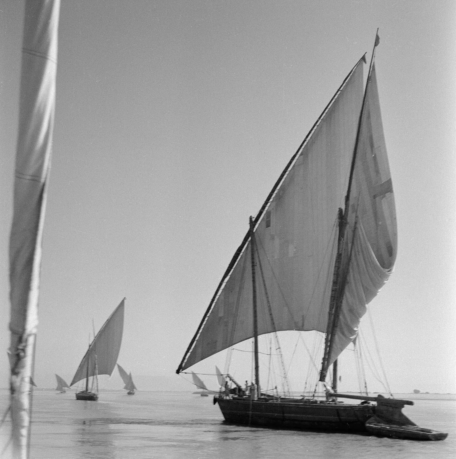 A black-and-white photograph of wooden sailing barges with tall triangular sails on the Nile.